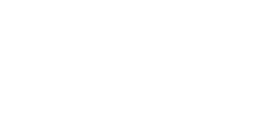 Bank BTN logo